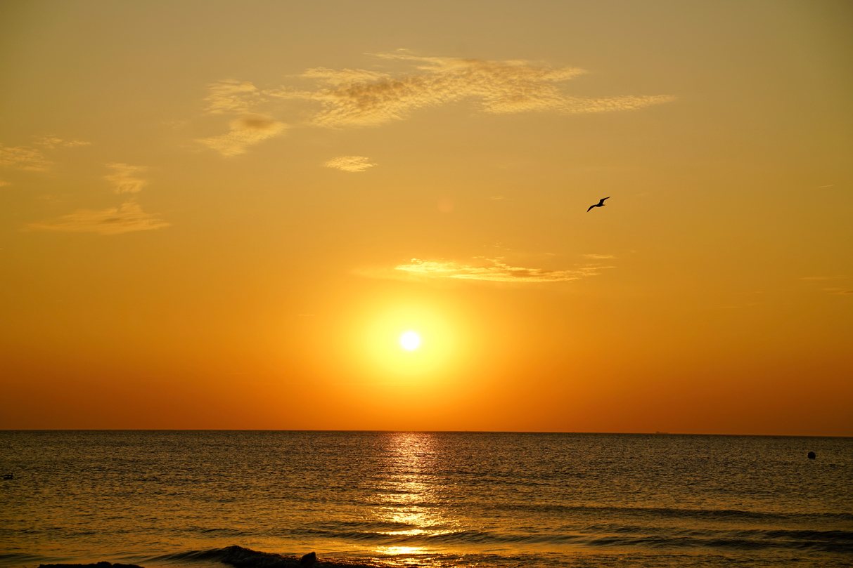 the-sound-of-sunset-martin-m-ller-brazilguitar